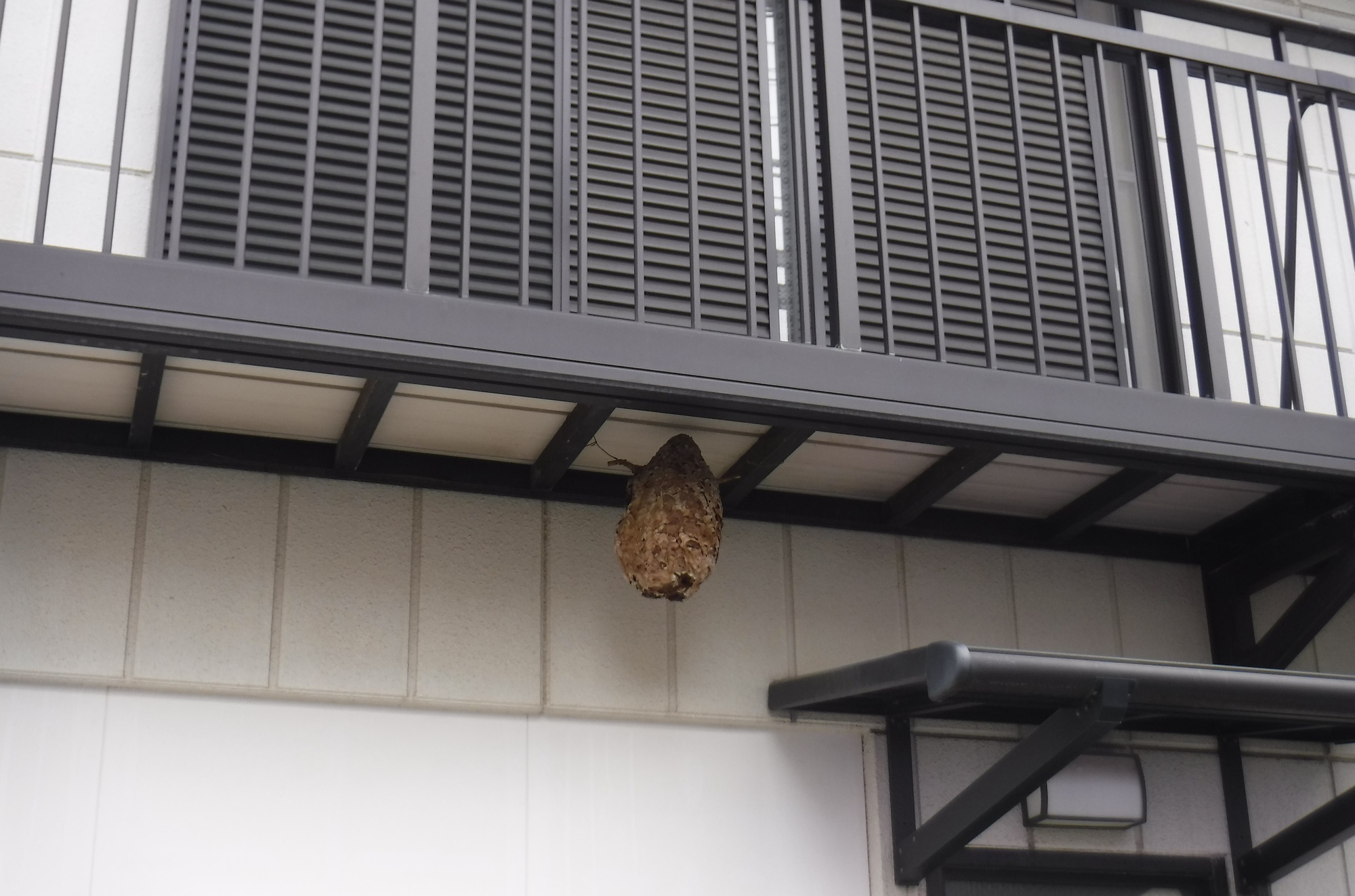 年同じ場所に作られる